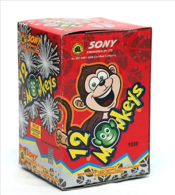 Sonny - 12 Monkeys