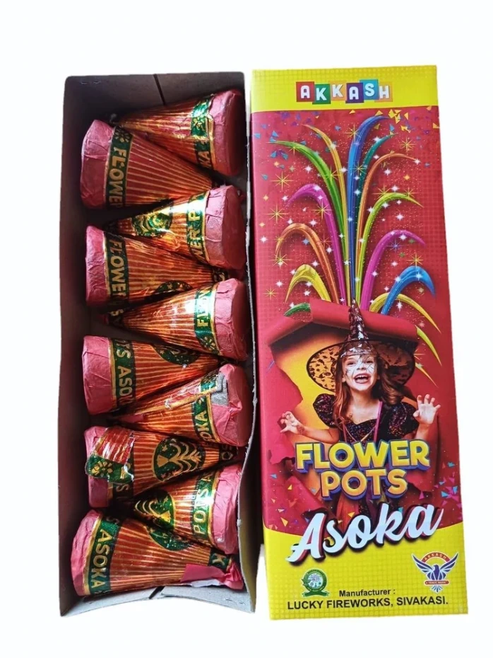 Flower Pots - Ashoka