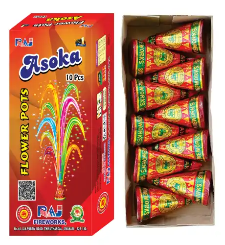 Flower Pots - Ashoka