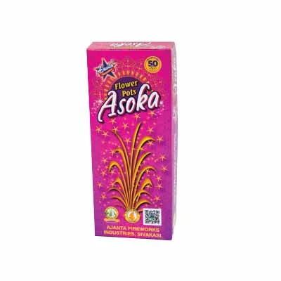 Flower Pots - Ashoka